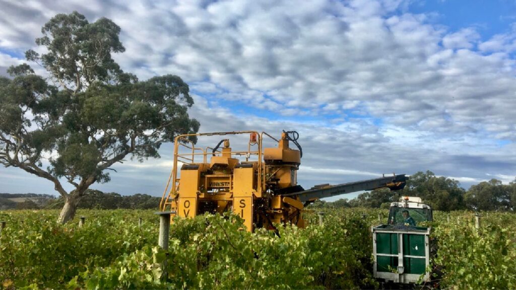 NHVR bottles up Grape and Wine Export Logistics