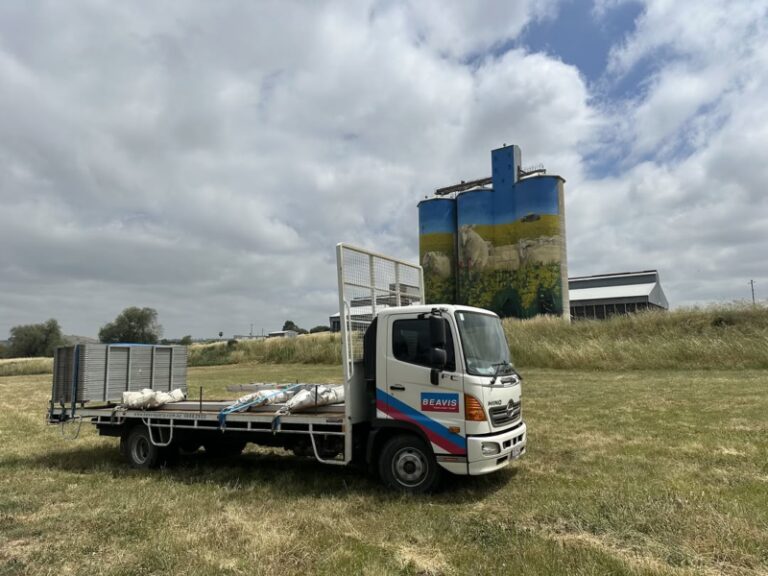 Beavis Party Hire Space with Hino